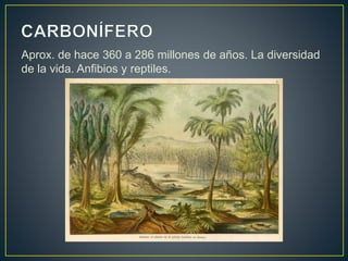 Aprox. de hace 360 a 286 millones de años. La diversidad
de la vida. Anfibios y reptiles.
 