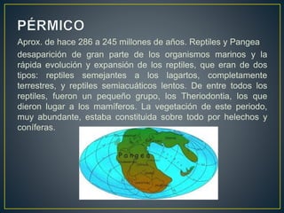 Aprox. de hace 286 a 245 millones de años. Reptiles y Pangea
desaparición de gran parte de los organismos marinos y la
rápida evolución y expansión de los reptiles, que eran de dos
tipos: reptiles semejantes a los lagartos, completamente
terrestres, y reptiles semiacuáticos lentos. De entre todos los
reptiles, fueron un pequeño grupo, los Theriodontia, los que
dieron lugar a los mamíferos. La vegetación de este periodo,
muy abundante, estaba constituida sobre todo por helechos y
coníferas.
 