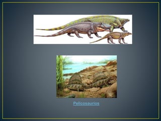 Pelicosaurios
 