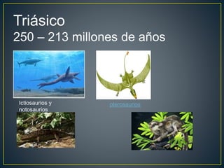 Triásico
250 – 213 millones de años
Ictiosaurios y
notosaurios
pterosaurios
 