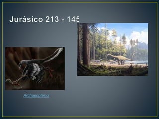 Archaeopteryx
 