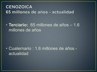 • Terciario: 65 millones de años – 1.6
millones de años
• Cuaternario : 1.6 millones de años -
actualidad
 