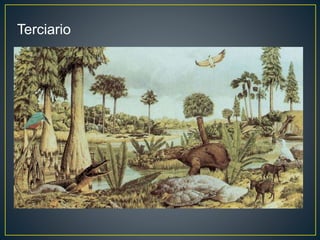 Terciario
 