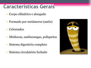 Características Gerais Corpo cilíndrico e alongado Formado por metâmeros (anéis) Celomados Minhocas, sanfuessugas, poliquetos Sistema digestório completo Sistema circulatório fechado 