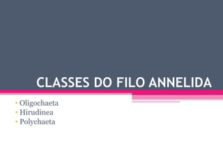 CLASSES DO FILO ANNELIDA  Oligochaeta Hirudinea Polychaeta 