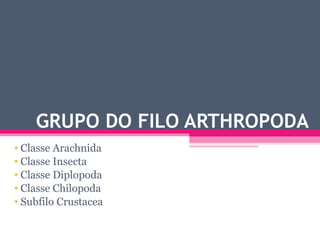 GRUPO DO FILO ARTHROPODA Classe Arachnida Classe Insecta Classe Diplopoda Classe Chilopoda Subfilo Crustacea 