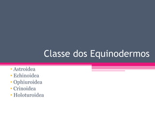 Classe dos Equinodermos Astroidea Echinoidea Ophiuroidea Crinoidea Holoturoidea 