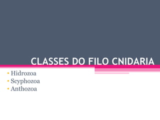 CLASSES DO FILO CNIDARIA Hidrozoa Scyphozoa Anthozoa 