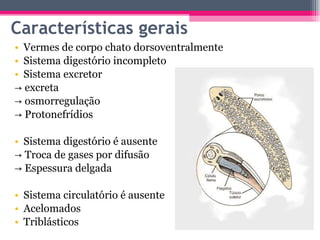 Características gerais Vermes de corpo chato dorsoventralmente Sistema digestório incompleto  Sistema excretor  ->  excreta ->  osmorregulação ->  Protonefrídios Sistema digestório é ausente ->  Troca de gases por difusão ->  Espessura delgada Sistema circulatório é ausente Acelomados Triblásticos 