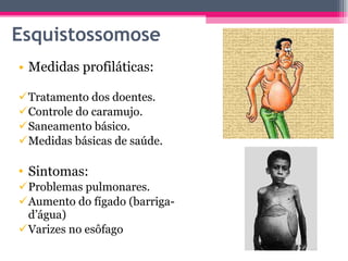 Esquistossomose  Medidas profiláticas: Tratamento dos doentes. Controle do caramujo. Saneamento básico. Medidas básicas de saúde. Sintomas: Problemas pulmonares. Aumento do fígado (barriga-d’água) Varizes no esôfago 