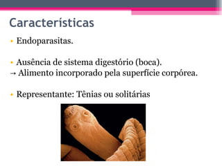 Características Endoparasitas. Ausência de sistema digestório (boca). ->  Alimento incorporado pela superfície corpórea. Representante: Tênias ou solitárias 