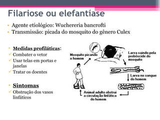 Filariose ou elefantíase Agente etiológico: Wuchereria bancrofti Transmissão: picada do mosquito do gênero Culex Medidas profiláticas : Combater o vetor Usar telas em portas e janelas Tratar os doentes Sintomas Obstrução dos vasos linfáticos 