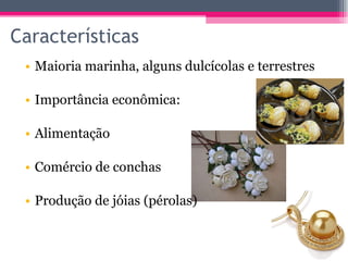 Maioria marinha, alguns dulcícolas e terrestres Importância econômica: Alimentação Comércio de conchas Produção de jóias (pérolas) Características 