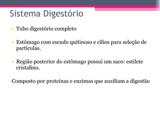 Tubo digestório completo Estômago com escudo quitinoso e cílios para seleção de partículas. Região posterior do estômago possui um saco: estilete cristalino. Composto por proteínas e enzimas que auxiliam a digestão Sistema Digestório 