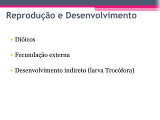 Reprodução e Desenvolvimento Dióicos Fecundação externa Desenvolvimento indireto (larva Trocófora) 