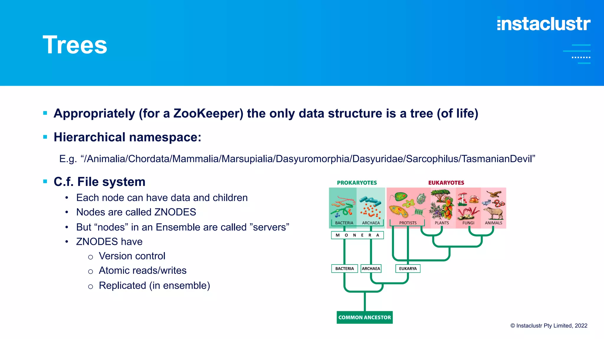 § Appropriately (for a ZooKeeper) the only data structure is a tree (of life)
§ Hierarchical namespace:
E.g. “/Animalia/Chordata/Mammalia/Marsupialia/Dasyuromorphia/Dasyuridae/Sarcophilus/TasmanianDevil”
§ C.f. File system
• Each node can have data and children
• Nodes are called ZNODES
• But “nodes” in an Ensemble are called ”servers”
• ZNODES have
o Version control
o Atomic reads/writes
o Replicated (in ensemble)
Trees
© Instaclustr Pty Limited, 2022
 