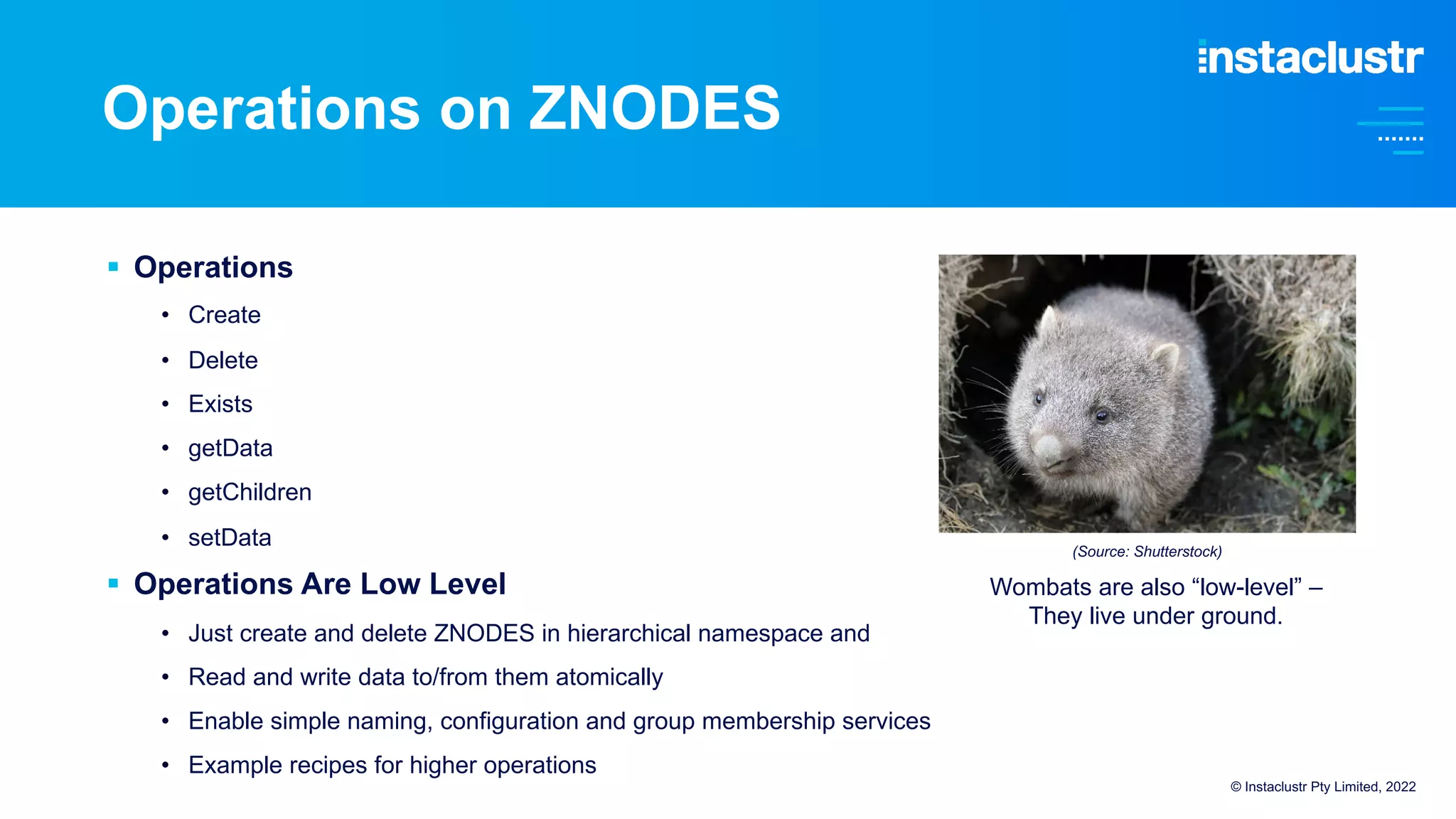 Operations on ZNODES
© Instaclustr Pty Limited, 2022
§ Operations
• Create
• Delete
• Exists
• getData
• getChildren
• setData
§ Operations Are Low Level
• Just create and delete ZNODES in hierarchical namespace and
• Read and write data to/from them atomically
• Enable simple naming, configuration and group membership services
• Example recipes for higher operations
(Source: Shutterstock)
Wombats are also “low-level” –
They live under ground.
 