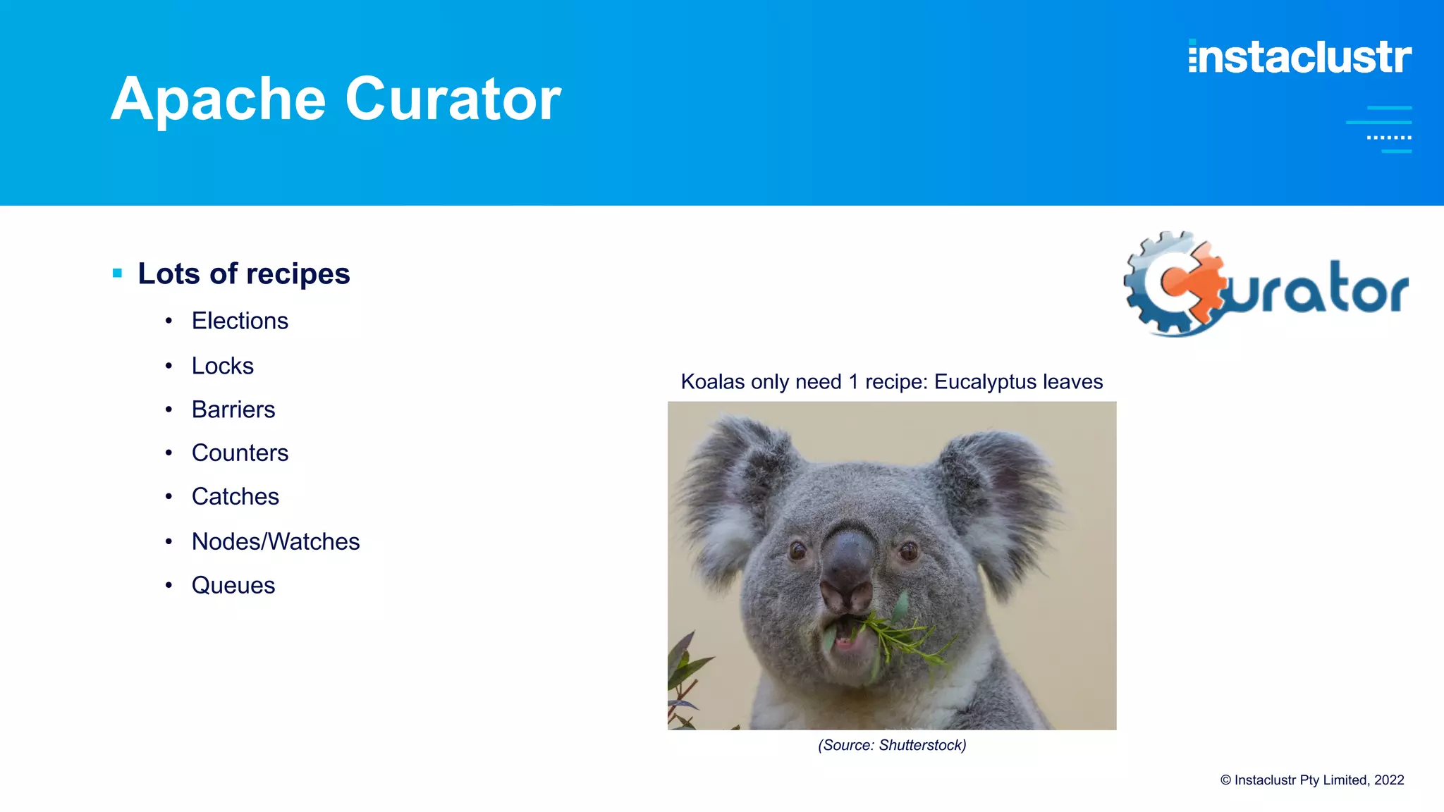 Apache Curator
§ Lots of recipes
• Elections
• Locks
• Barriers
• Counters
• Catches
• Nodes/Watches
• Queues
Koalas only need 1 recipe: Eucalyptus leaves
© Instaclustr Pty Limited, 2022
(Source: Shutterstock)
 