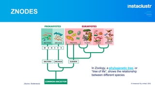 ZNODES
© Instaclustr Pty Limited, 2022
In Zoology, a phylogenetic tree, or
“tree of life”, shows the relationship
between different species
(Source: Shutterstock)
 