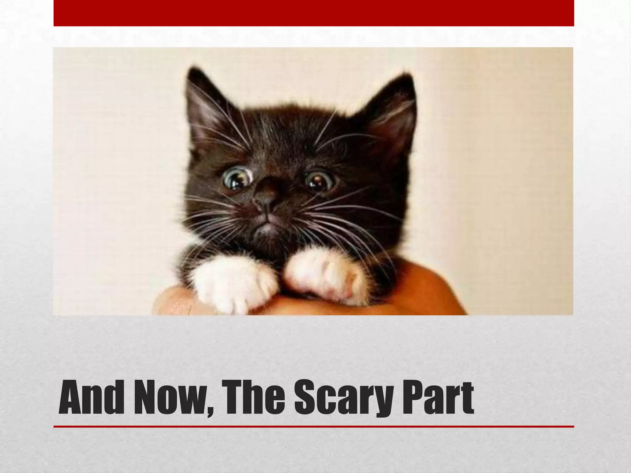 And Now, The Scary Part

 