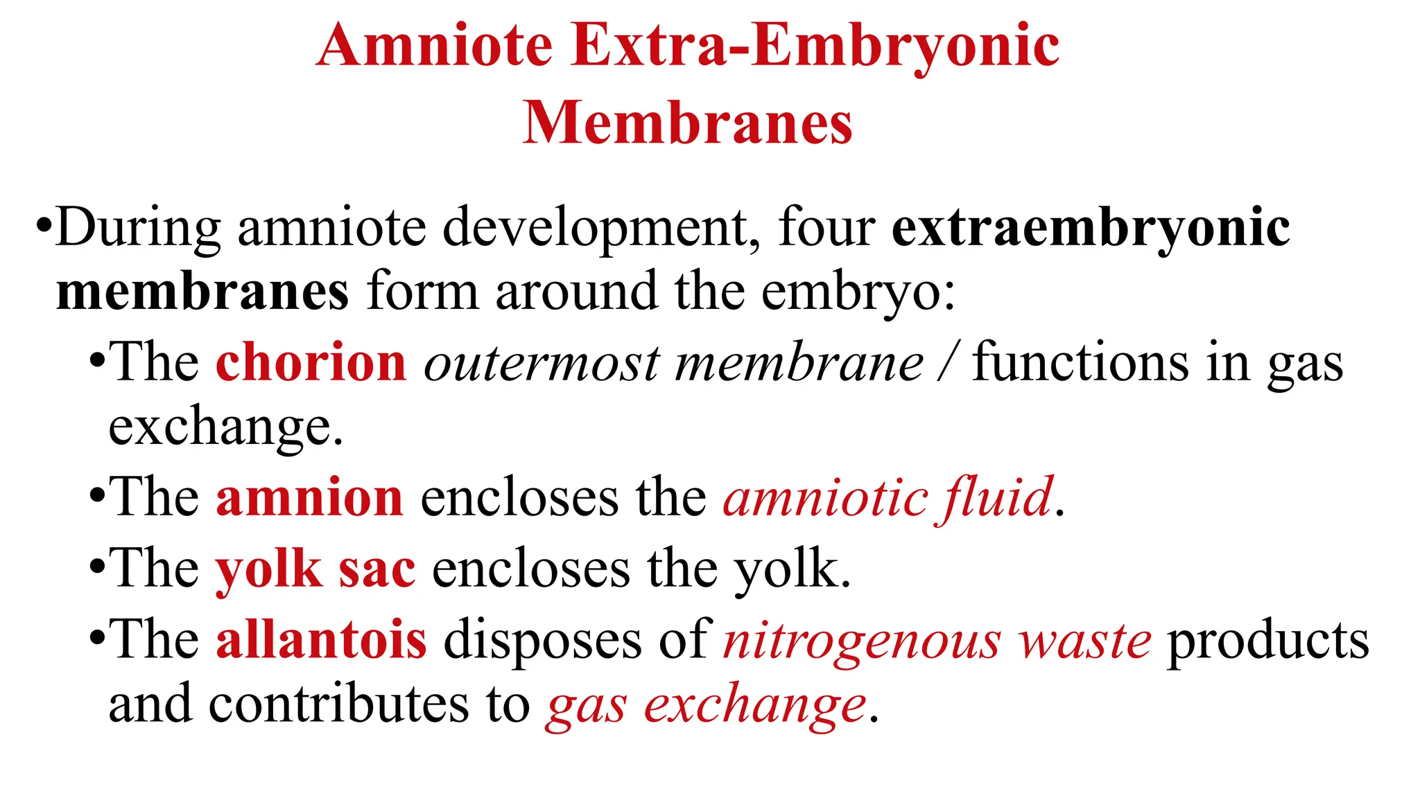 •During amniote development, four extraembryonic
membranes form around the embryo:
•The chorion outermost membrane / functions in gas
exchange.
•The amnion encloses the amniotic fluid.
•The yolk sac encloses the yolk.
•The allantois disposes of nitrogenous waste products
and contributes to gas exchange.
Amniote Extra-Embryonic
Membranes
 