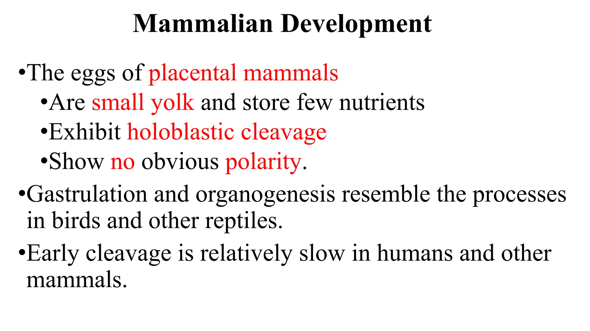 Mammalian Development
•The eggs of placental mammals
•Are small yolk and store few nutrients
•Exhibit holoblastic cleavage
•Show no obvious polarity.
•Gastrulation and organogenesis resemble the processes
in birds and other reptiles.
•Early cleavage is relatively slow in humans and other
mammals.
 