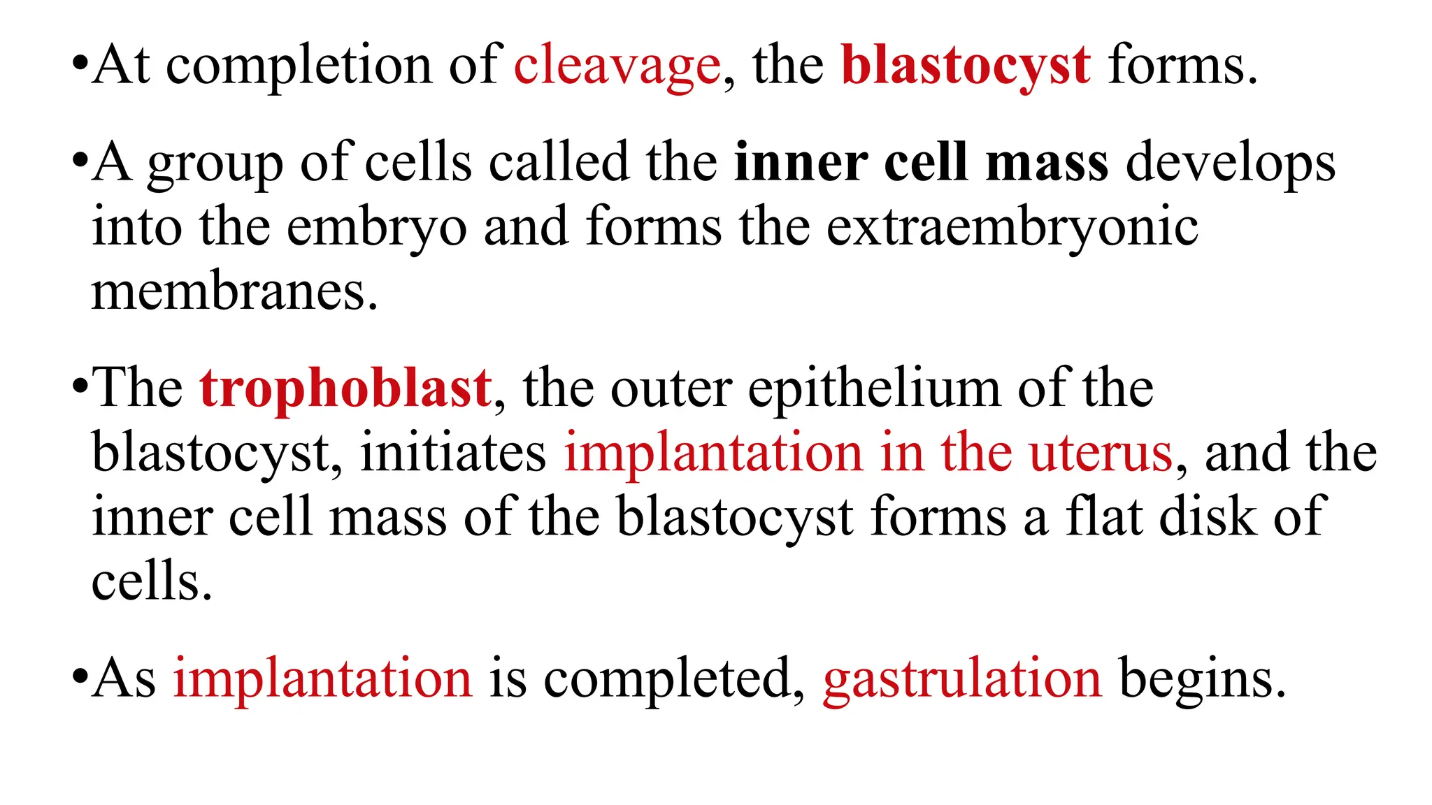 •At completion of cleavage, the blastocyst forms.
•A group of cells called the inner cell mass develops
into the embryo and forms the extraembryonic
membranes.
•The trophoblast, the outer epithelium of the
blastocyst, initiates implantation in the uterus, and the
inner cell mass of the blastocyst forms a flat disk of
cells.
•As implantation is completed, gastrulation begins.
 