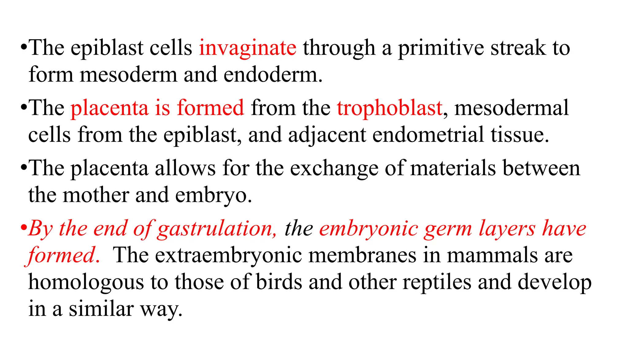 •The epiblast cells invaginate through a primitive streak to
form mesoderm and endoderm.
•The placenta is formed from the trophoblast, mesodermal
cells from the epiblast, and adjacent endometrial tissue.
•The placenta allows for the exchange of materials between
the mother and embryo.
•By the end of gastrulation, the embryonic germ layers have
formed. The extraembryonic membranes in mammals are
homologous to those of birds and other reptiles and develop
in a similar way.
 