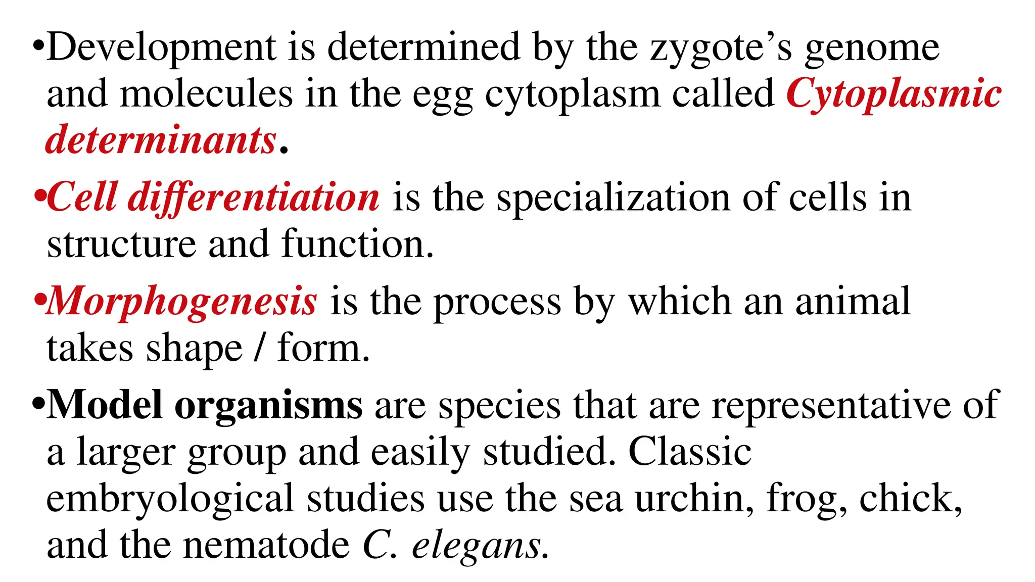 •Development is determined by the zygote’s genome
and molecules in the egg cytoplasm called Cytoplasmic
determinants.
•Cell diﬀerentiation is the specialization of cells in
structure and function.
•Morphogenesis is the process by which an animal
takes shape / form.
•Model organisms are species that are representative of
a larger group and easily studied. Classic
embryological studies use the sea urchin, frog, chick,
and the nematode C. elegans.
 