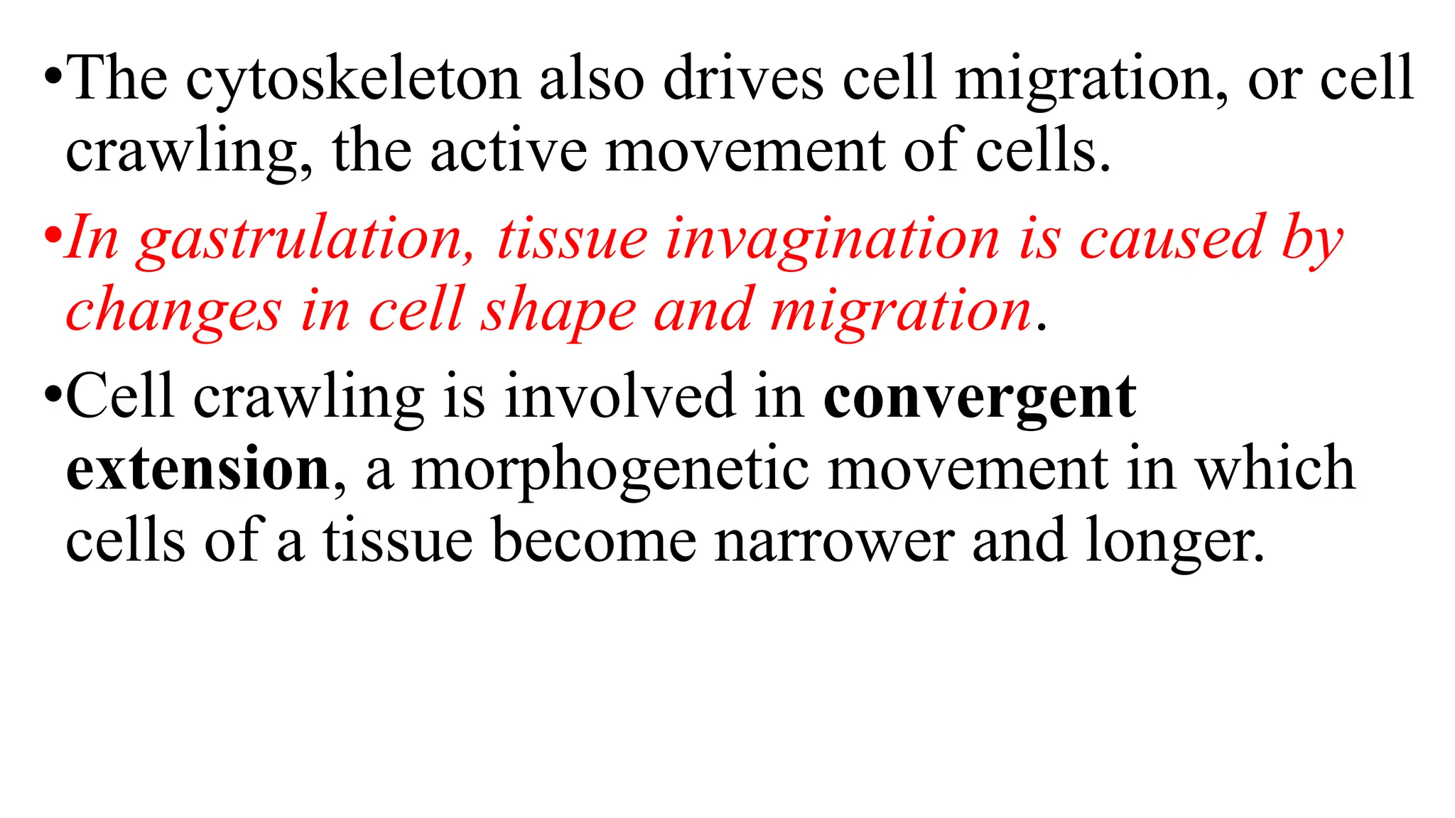 •The cytoskeleton also drives cell migration, or cell
crawling, the active movement of cells.
•In gastrulation, tissue invagination is caused by
changes in cell shape and migration.
•Cell crawling is involved in convergent
extension, a morphogenetic movement in which
cells of a tissue become narrower and longer.
 