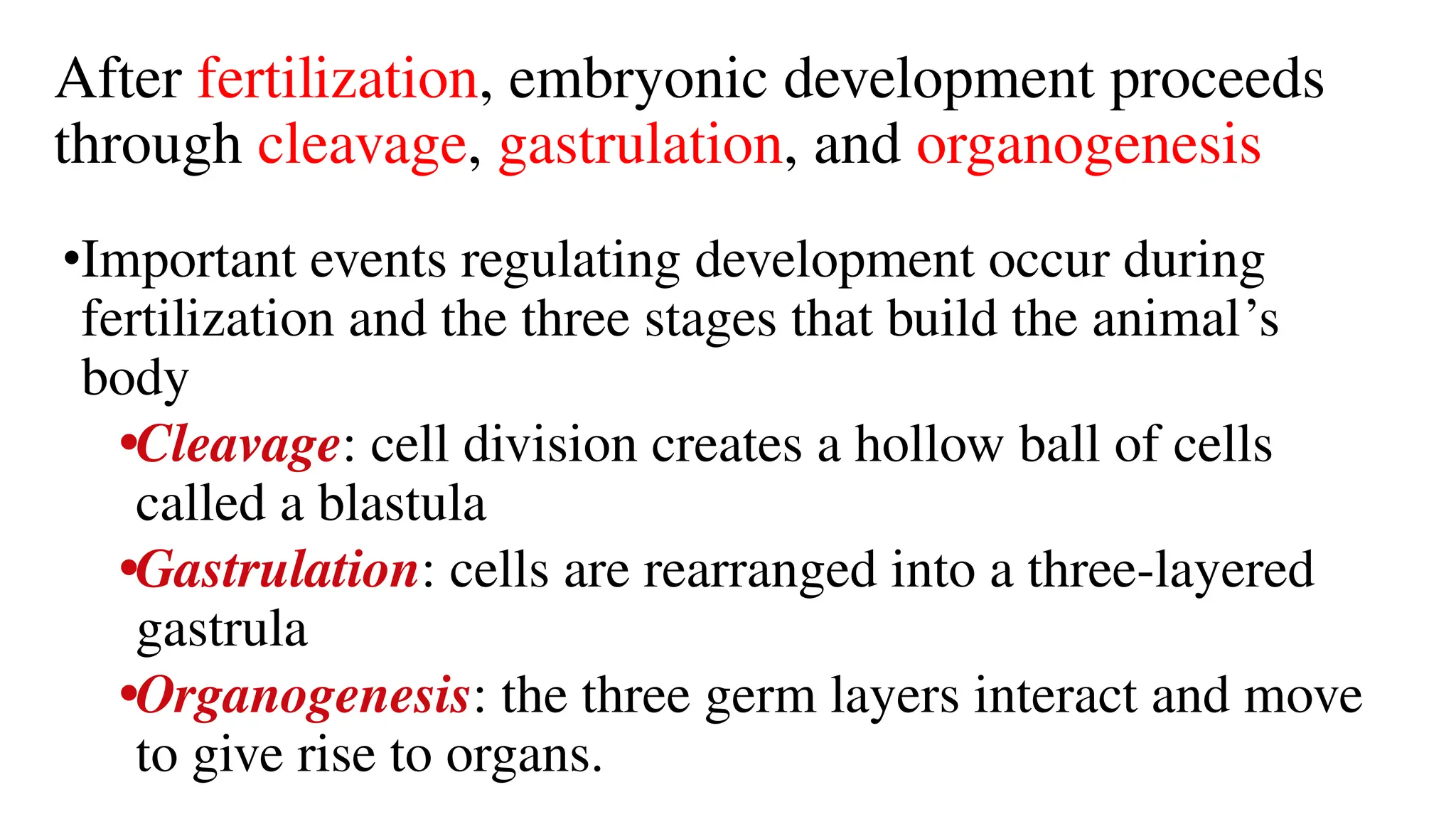 After fertilization, embryonic development proceeds
through cleavage, gastrulation, and organogenesis
•Important events regulating development occur during
fertilization and the three stages that build the animal’s
body
•Cleavage: cell division creates a hollow ball of cells
called a blastula
•Gastrulation: cells are rearranged into a three-layered
gastrula
•Organogenesis: the three germ layers interact and move
to give rise to organs.
 