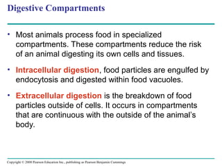 ZooLec Chapter 13 (Digestive System).ppt
