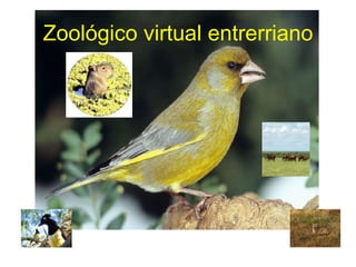 Zoológico virtual entrerriano 