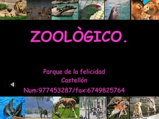 ZOOLÒGICO. Parque de la felicidad Castellón Num:977453287/fax:6749825764 