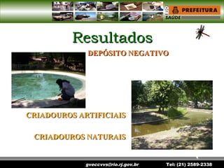 gveccvvs@rio.rj.gov.br Tel: (21) 2589-2338
ResultadosResultados
DEPÓSITO NEGATIVODEPÓSITO NEGATIVO
CRIADOUROS ARTIFICIAISCRIADOUROS ARTIFICIAIS
CRIADOUROS NATURAISCRIADOUROS NATURAIS
 