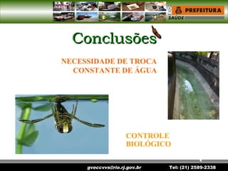 gveccvvs@rio.rj.gov.br Tel: (21) 2589-2338
ConclusõesConclusões
NECESSIDADE DE TROCA
CONSTANTE DE ÁGUA
CONTROLE
BIOLÓGICO
 