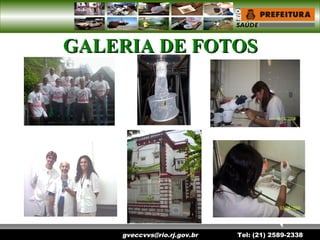 gveccvvs@rio.rj.gov.br Tel: (21) 2589-2338
GALERIA DE FOTOSGALERIA DE FOTOS
 