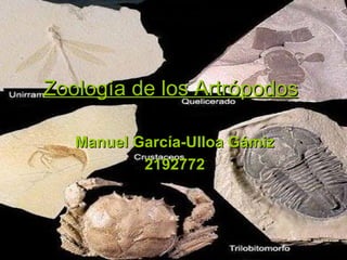 Zoología de los Artrópodos

   Manuel García-Ulloa Gámiz
           2192772
 