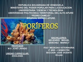 REPUBLICA BOLVARIANA DE VENEZUELA
MINISTERIO DEL PODER POPULAR PARA LA EDUCACION
UNIVERSITARIA “CIENCIA Y TECNOLOGIA
UNIVERSIDAD POLITECNICA TERRITORIAL DEL ALTO APURE
“PEDRO CAMEJO”
BRUZUAL ESTADO APURE.
PROFESOR:
M.V. JOSÉ LAVADO
UNIDAD CURRICULAR:
ZOOLOGÍA
BACHILLERES:
BELIZARIO MIGUEL
SÁNCHEZ MARIELY
P.N.F. MEDICINA VETERINARIA
2° AÑO - I SEMESTRE
SECCION: JOSÉ VICENTE
ROJAS
 