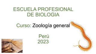 ESCUELA PROFESIONAL
DE BIOLOGIA
Curso: Zoología general
Perú
2023
 