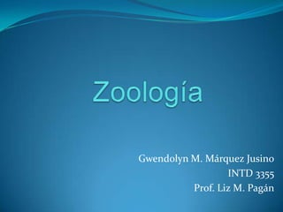 Zoología Gwendolyn M. MárquezJusino INTD 3355 Prof. Liz M. Pagán 
