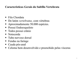 Caracteristicas Gerais do Subfilo Vertebrata


   Filo Chordata
   Do latim vertebratus, com vértebras
   Aproximadamente 50.000 espécies.
   Possui Endoesqueleto
   Todos possui crânio
   Notocorda
   Tubo nervoso dorsal
   Fendas na faringe
   Cauda pós-anal
   Celoma bem desenvolvido e preenchido pelas vísceras


                                                          2
 