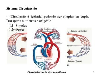 Sistema Circulatório

1- Circulação é fechada, podendo ser simples ou dupla.
Transporta nutrientes e oxigênio.
  1.1- Simples
  1.2- Dupla




                                                         3
 