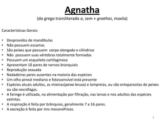 Agnatha
                      (do grego transliterado a, sem + gnathos, maxila)

Características Gerais:

• Desprovidos de mandíbulas
• Não possuem escamas
• São peixes que possuem corpo alongado e cilíndrico
• Não possuem suas vértebras totalmente formadas
• Possuem um esqueleto cartilaginoso
• Apresentam 10 pares de nervos branquiais
• Reprodução sexuada
• Nadadeiras pares ausentes na maioria das espécies
• Um olho pineal mediano e fotossensível está presente
• Espécies atuais adultas, as mixinas(peixe-bruxa) e lampreias, ou são ectoparasitas de peixes
  ou são necrófagas.
• A faringe é utilizada, na alimentação por filtração, nas larvas e nos adultos das espécies
  extintas.
• A respiração é feita por brânquias, geralmente 7 a 16 pares.
• A excreção é feita por rins mesonéfricos.
                                                                                          8
 