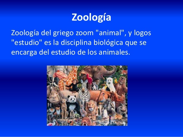 Zoologia