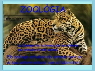 Zoologia. Vertebrats