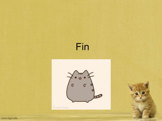 Fin
 