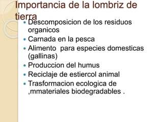 Importancia de la lombriz de
tierra Descomposicion de los residuos
organicos
 Carnada en la pesca
 Alimento para especies domesticas
(gallinas)
 Produccion del humus
 Reciclaje de estiercol animal
 Trasformacion ecologica de
,mmateriales biodegradables .
 