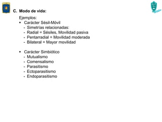 C. Modo de vida:
Ejemplos:
 Carácter Sésil-Móvil
- Simetrías relacionadas:
- Radial = Sésiles, Movilidad pasiva
- Pentarradial = Movilidad moderada
- Bilateral = Mayor movilidad
 Carácter Simbiótico
- Mutualismo
- Comensalismo
- Parasitismo
- Ectoparasitismo
- Endoparasitismo
 