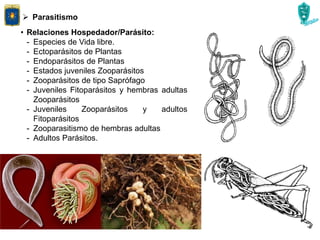  Parasitismo
• Relaciones Hospedador/Parásito:
- Especies de Vida libre.
- Ectoparásitos de Plantas
- Endoparásitos de Plantas
- Estados juveniles Zooparásitos
- Zooparásitos de tipo Saprófago
- Juveniles Fitoparásitos y hembras adultas
Zooparásitos
- Juveniles Zooparásitos y adultos
Fitoparásitos
- Zooparasitismo de hembras adultas
- Adultos Parásitos.
 